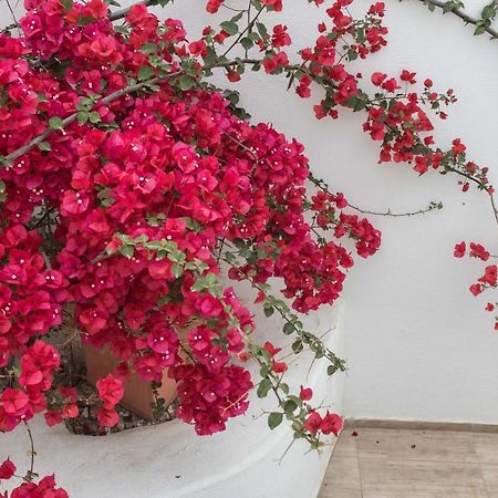 Agia Anna  스튜디오 마리안나 아파트 외부 사진